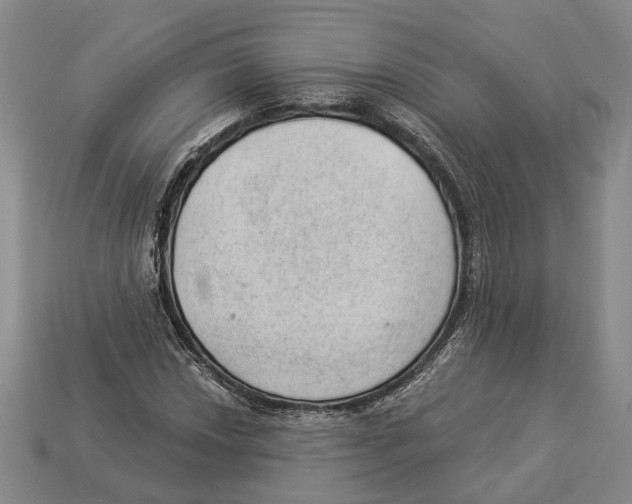 X0000112981018200909241216