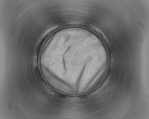 X0000112981019200909241216