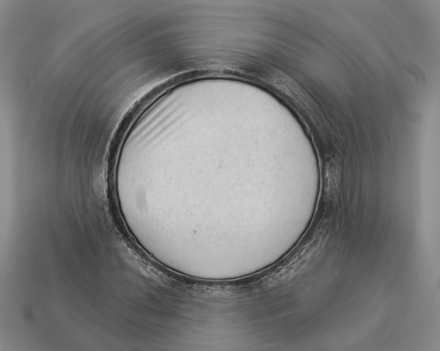 X0000112981020200909241216