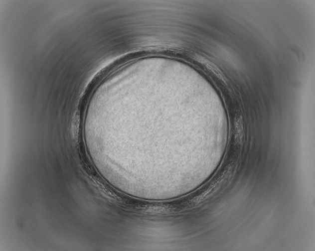 X0000112981021200909241216
