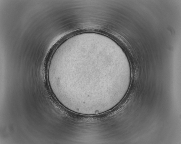 X0000112981022200909241216