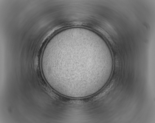 X0000112981023200909241216