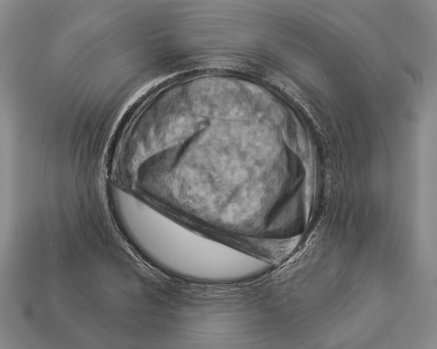 X0000112981024200909241216