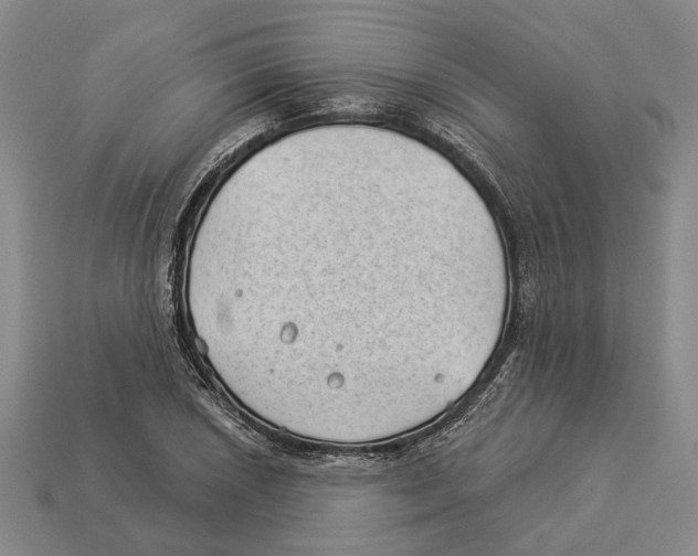 X0000112981026200909241216