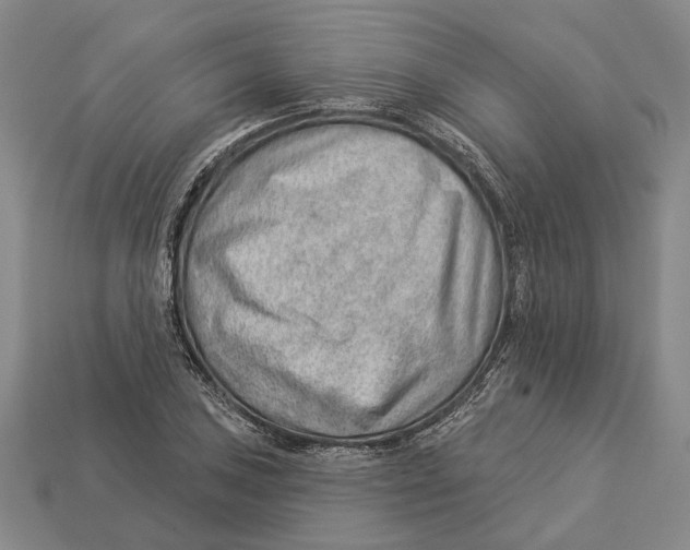 X0000112981027200909241216