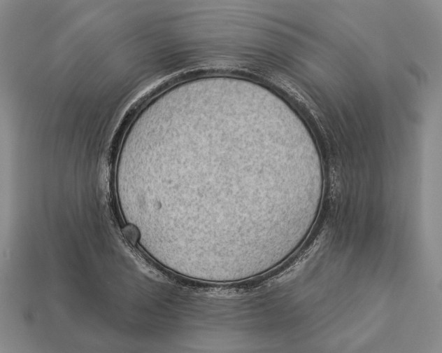 X0000112981029200909241216