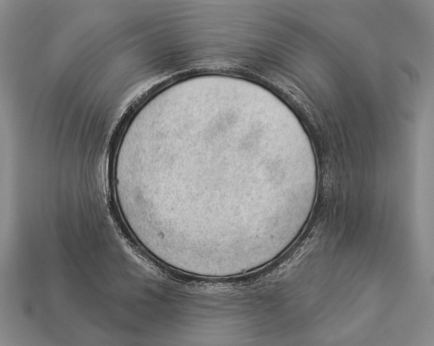 X0000112981030200909241216