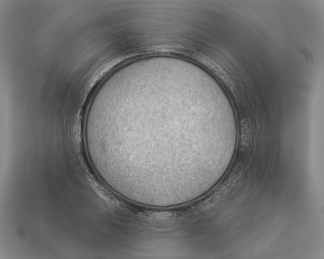 X0000112981031200909241216