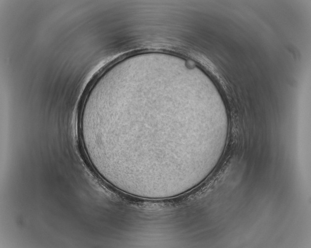 X0000112981032200909241216