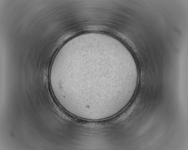 X0000112981033200909241216