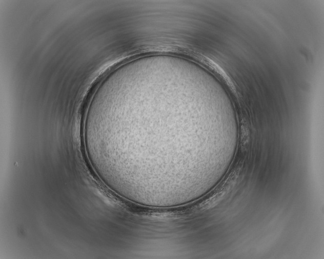 X0000112981035200909241216