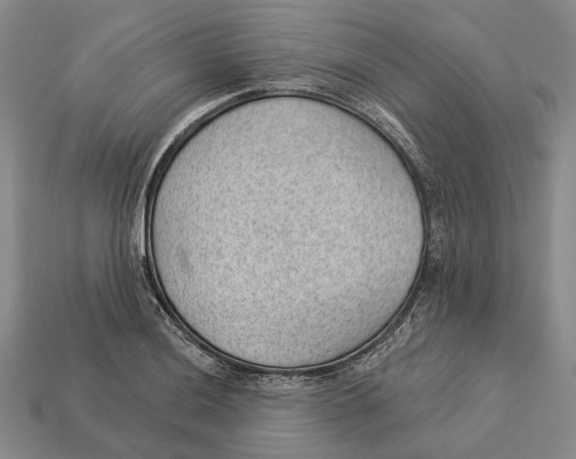 X0000112981036200909241216