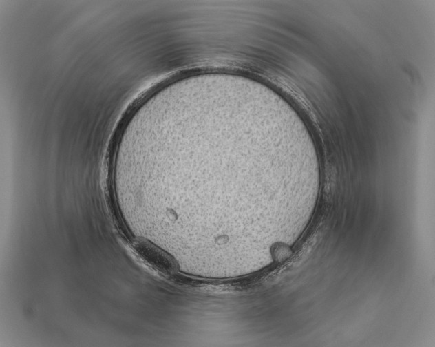 X0000112981037200909241216