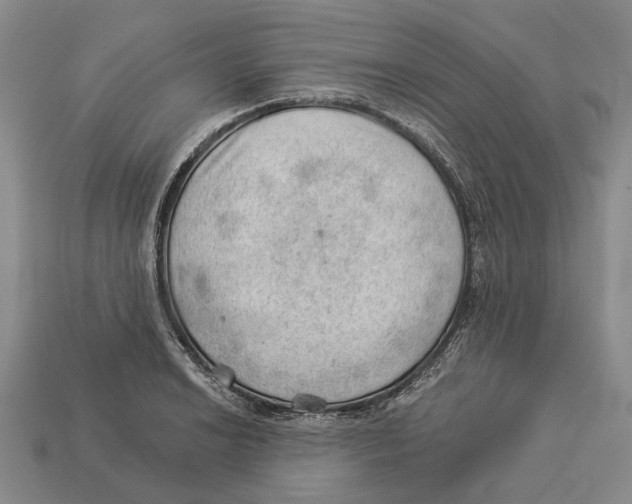 X0000112981038200909241216
