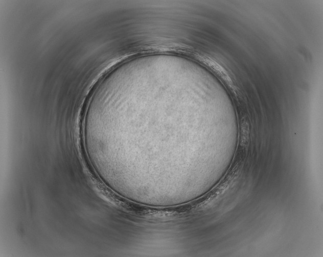 X0000112981039200909241216
