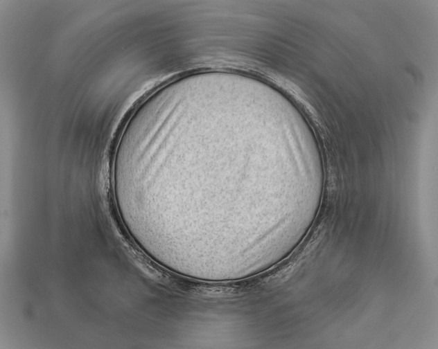X0000112981040200909241216