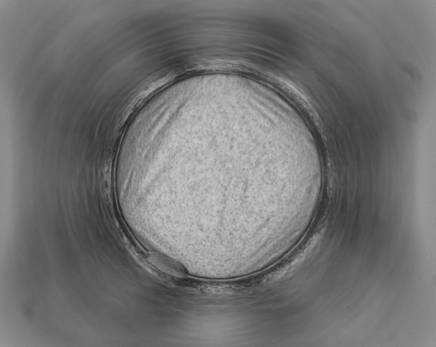 X0000112981041200909241216