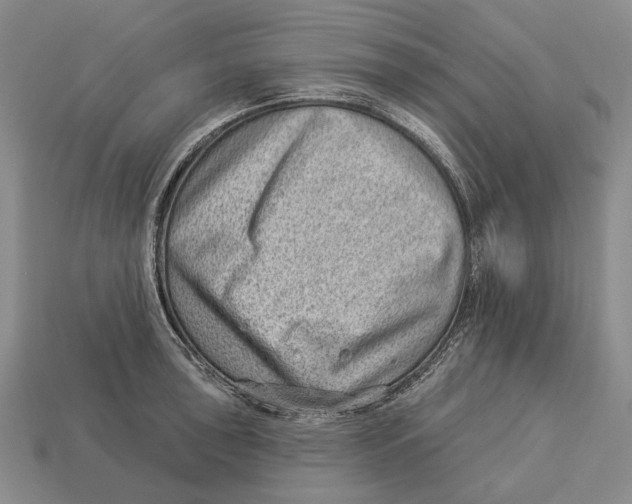 X0000112981043200909241216