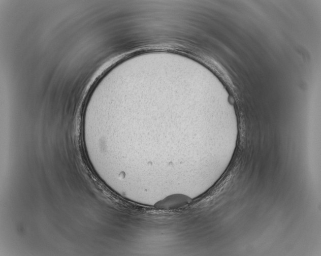 X0000112981044200909241216
