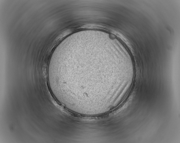 X0000112981049200909241216