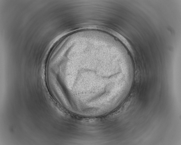 X0000112981051200909241216