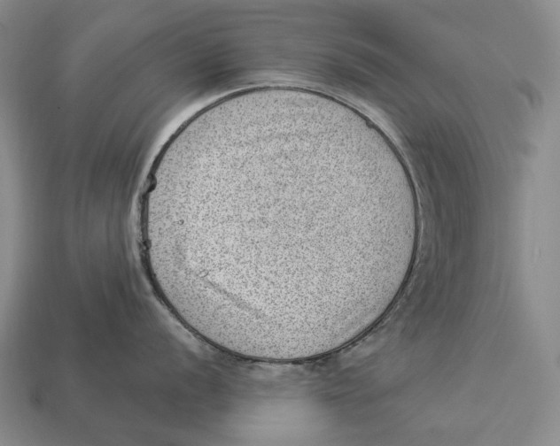 X0000112981056200909241216