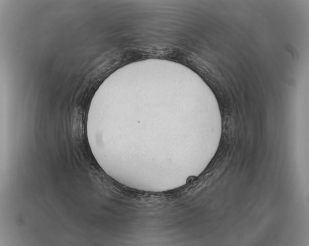 X0000112981058200909241216
