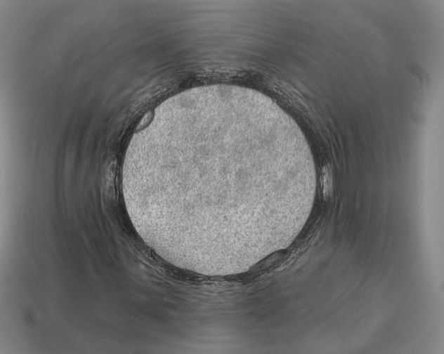 X0000112981059200909241215