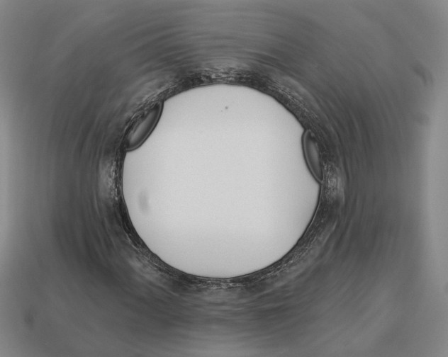 X0000112981060200909241215