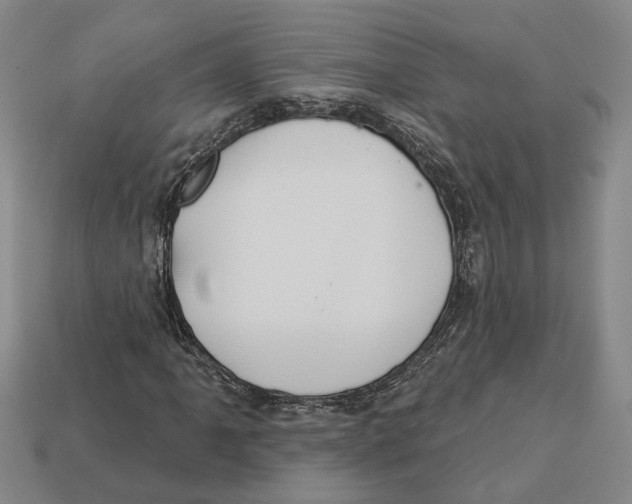 X0000112981061200909241215