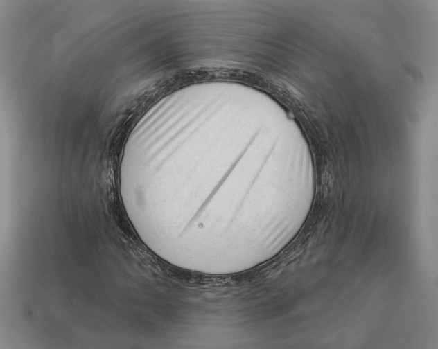 X0000112981062200909241215