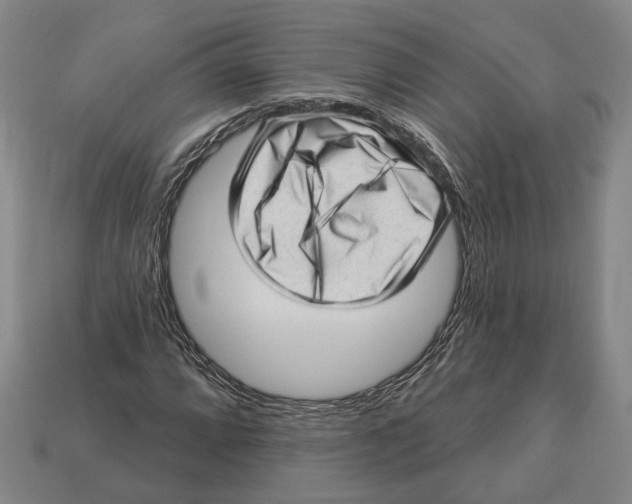 X0000112981064200909241215