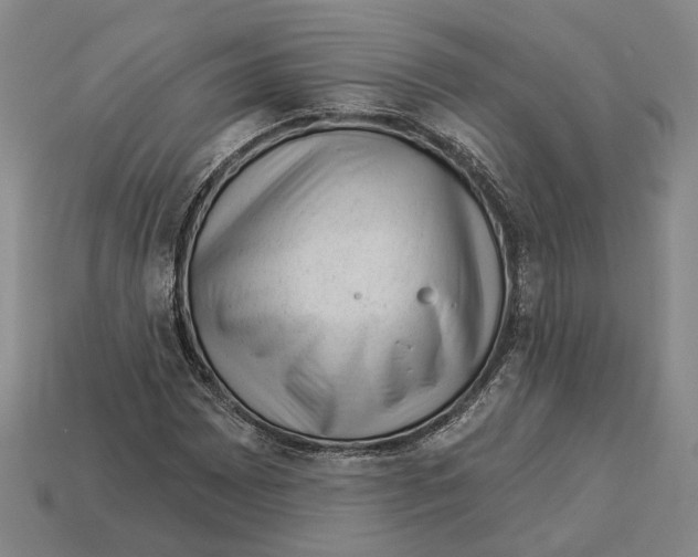 X0000112981065200909241215
