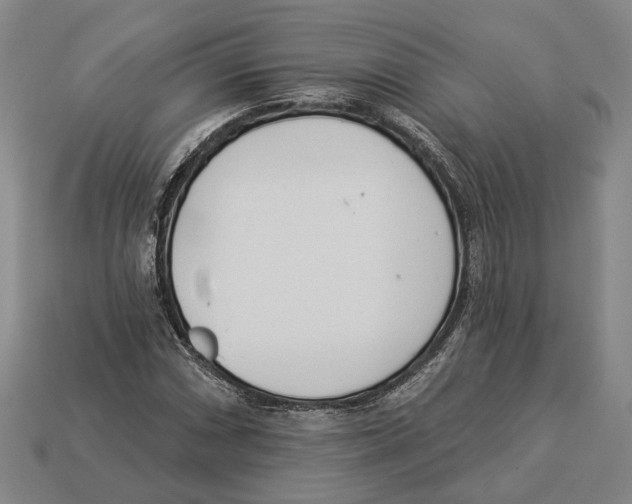 X0000112981066200909241215