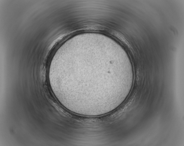 X0000112981067200909241215