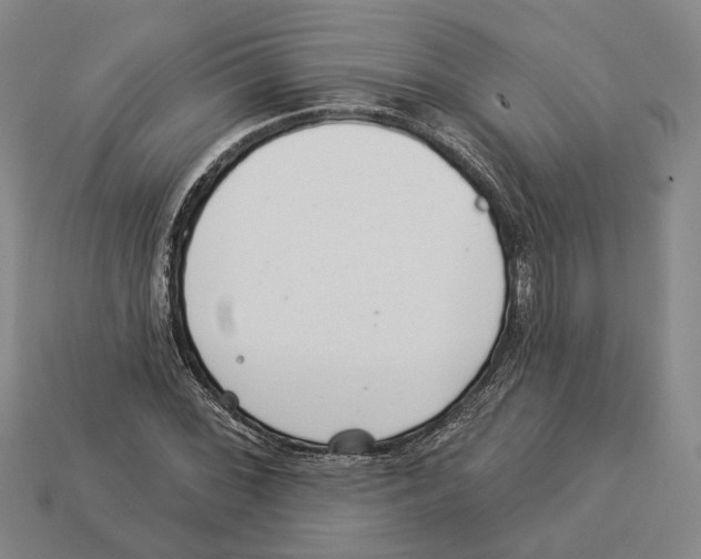 X0000112981068200909241215