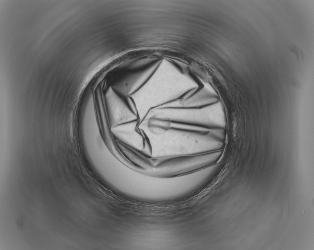 X0000112981069200909241215