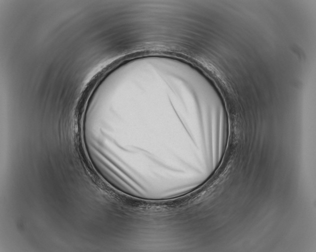 X0000112981070200909241215
