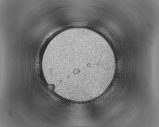 X0000112981071200909241215