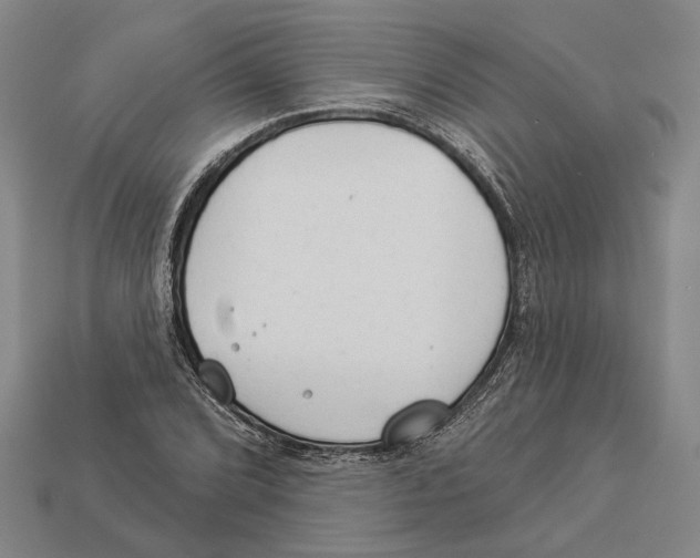 X0000112981072200909241215