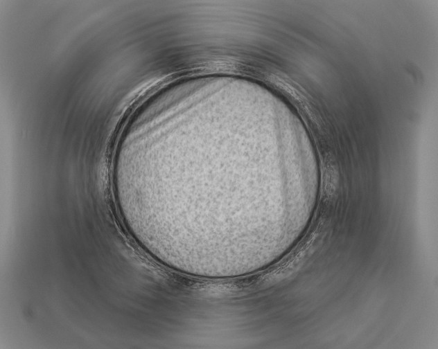 X0000112981074200909241215