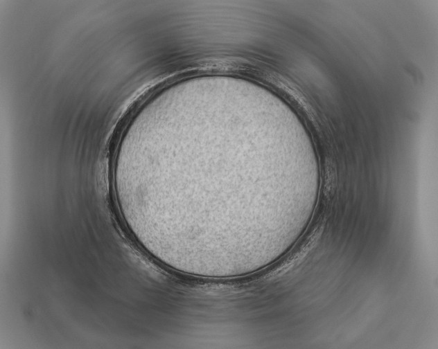 X0000112981075200909241215