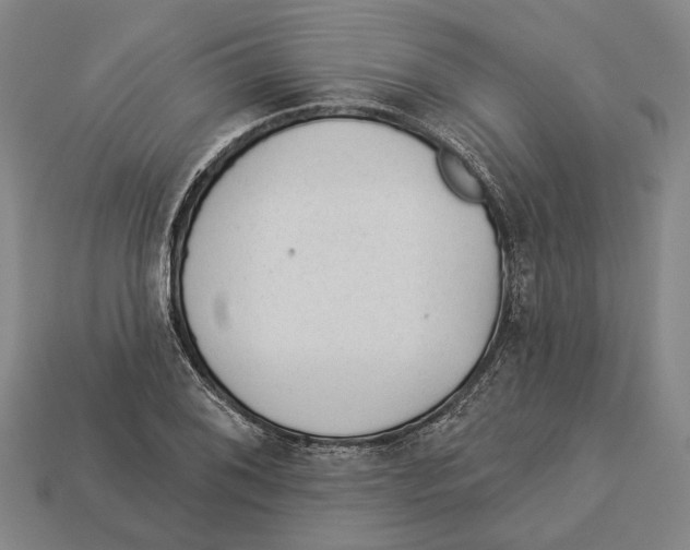 X0000112981076200909241215