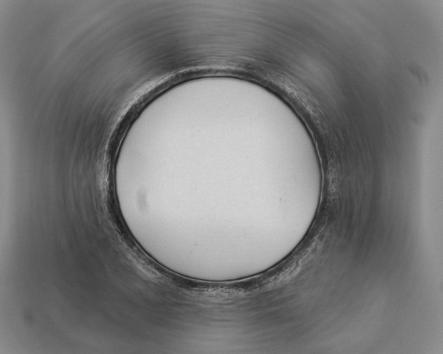 X0000112981077200909241215