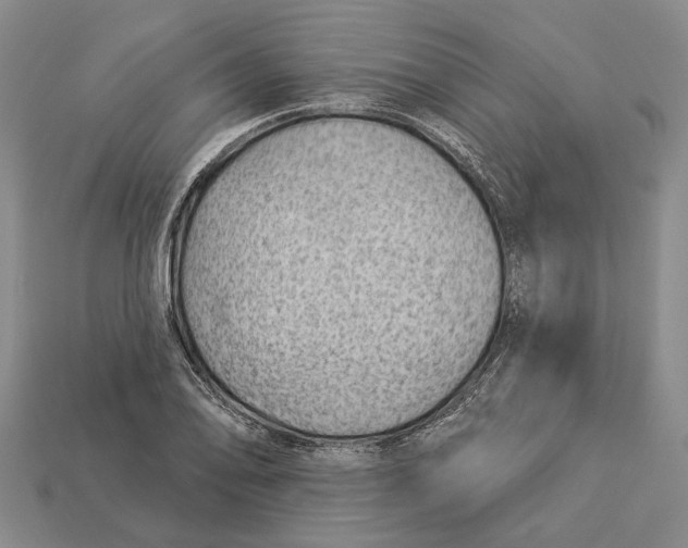 X0000112981078200909241215