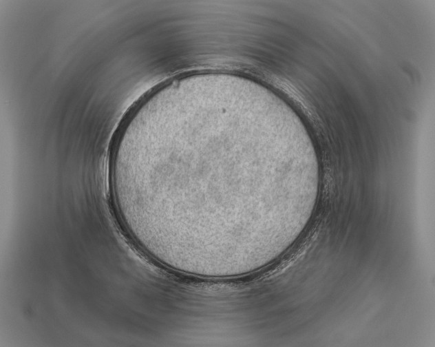 X0000112981079200909241215