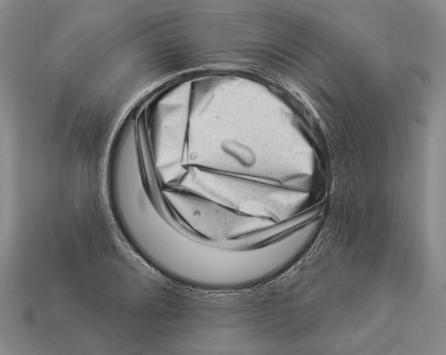 X0000112981080200909241215