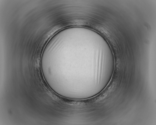X0000112981081200909241215