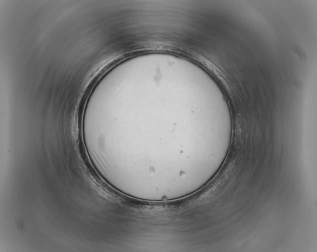 X0000112981082200909241215