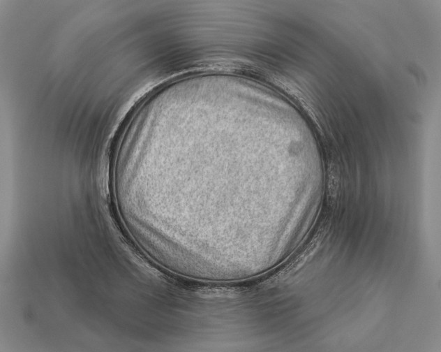X0000112981083200909241215